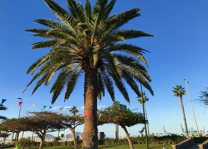 아파트 Muelle Deportivo *