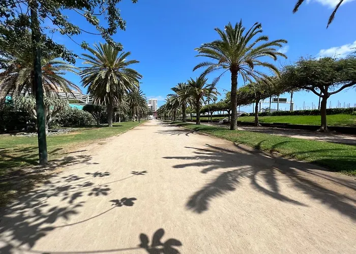 Muelle Deportivo 라스팔마스