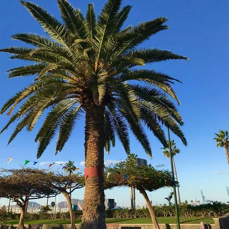 Apartamento Muelle Deportivo *